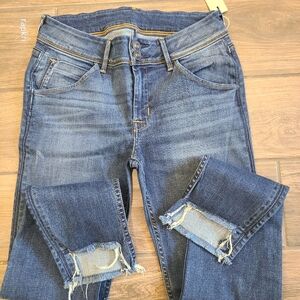 Hudson Jean Cat Midrise Skinny with stem hem
